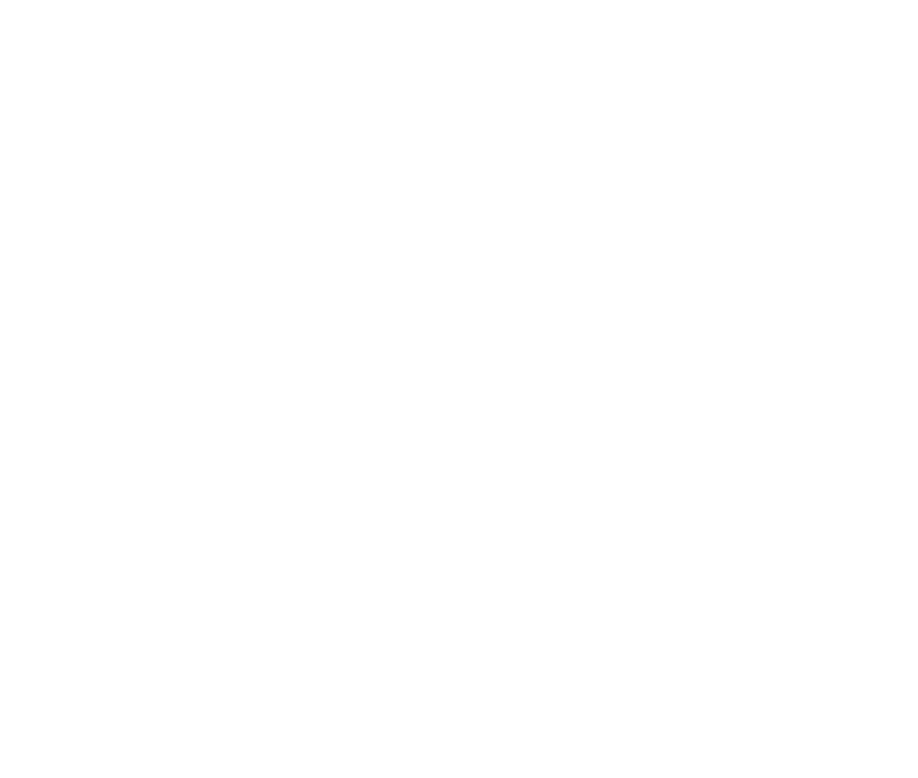 Wolf & Gecko